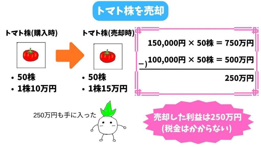 NISAの生涯投資枠の解説画像②