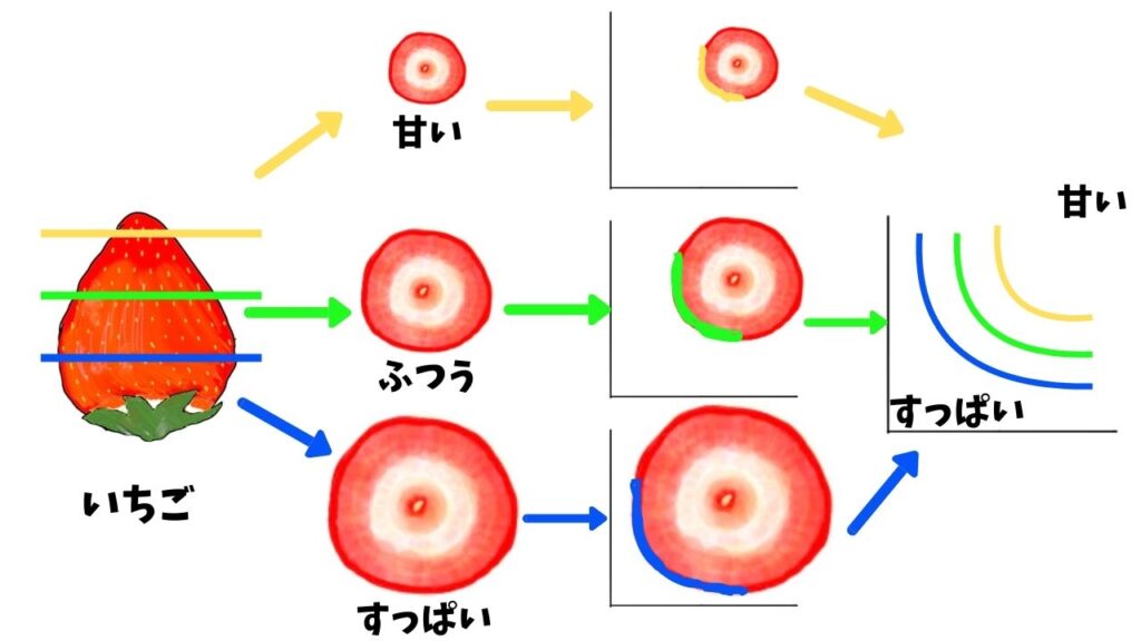 いちごの輪切り画像と無差別曲線