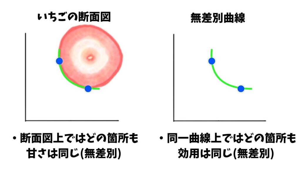 いちごの断面図と無差別曲線の効用解説画像