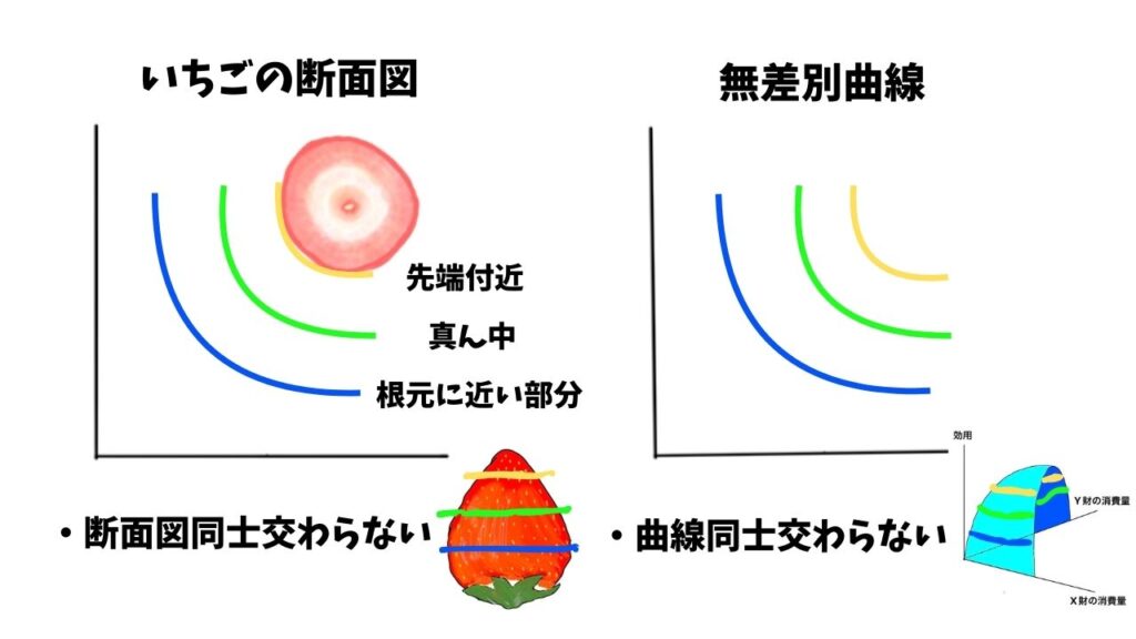 いちごを使った無差別曲線の曲線同士が交わらない解説画像